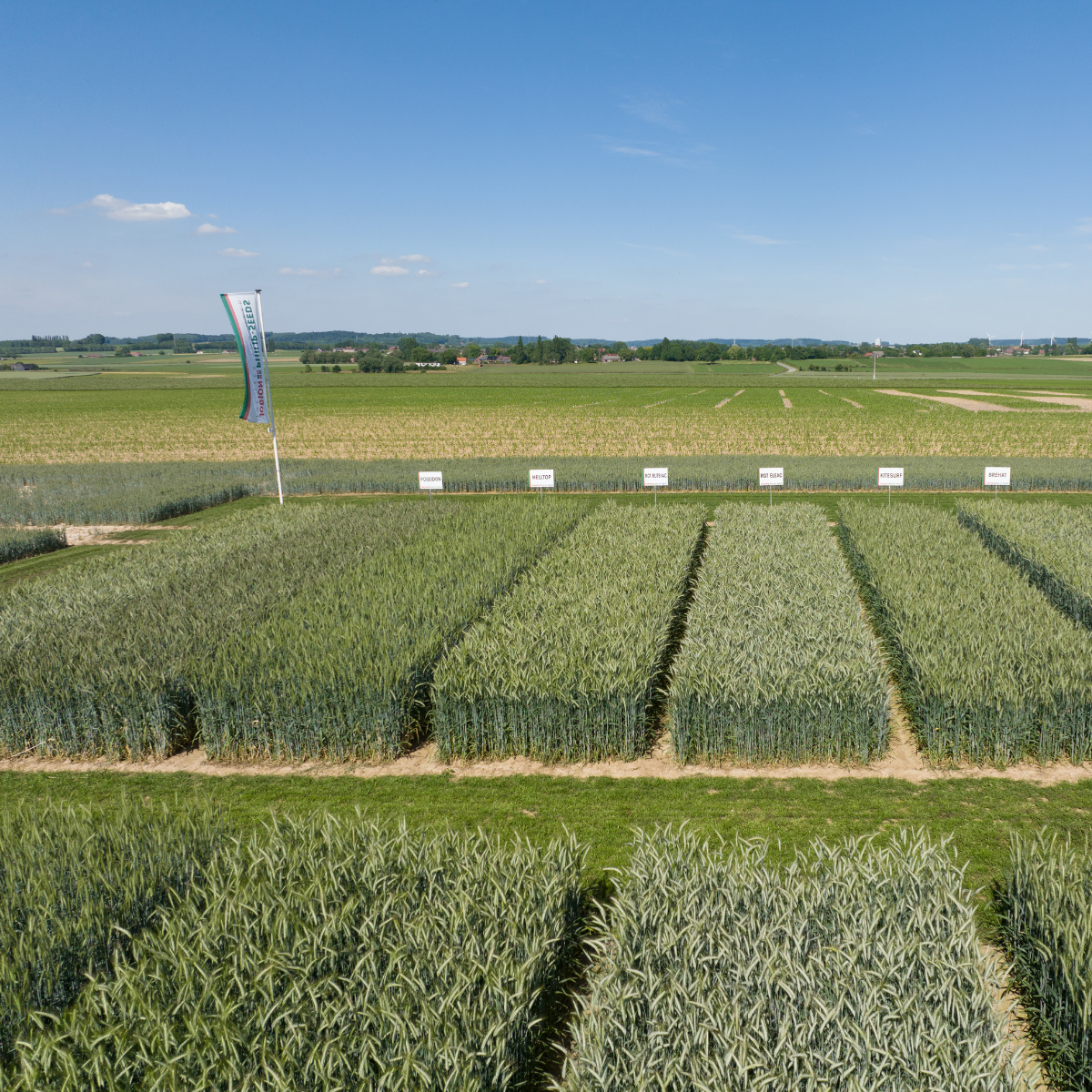 R&eacute;glementation